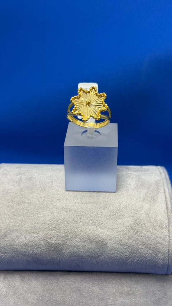 TSRYZK-00113 TSRYZK-00113